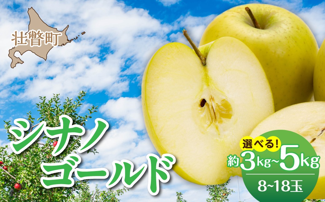
                  【先行予約】北海道壮瞥町産りんご「シナノゴールド」＜2026年11月上旬よりお届け＞選べる内容量 8～18玉 約3㎏･5㎏【ふるさと納税 人気 おすすめ ランキング りんご リンゴ 林檎 しなのごーるど 甘い 蜜入り ジュース 酢 送料無料】 SBTF020
                
