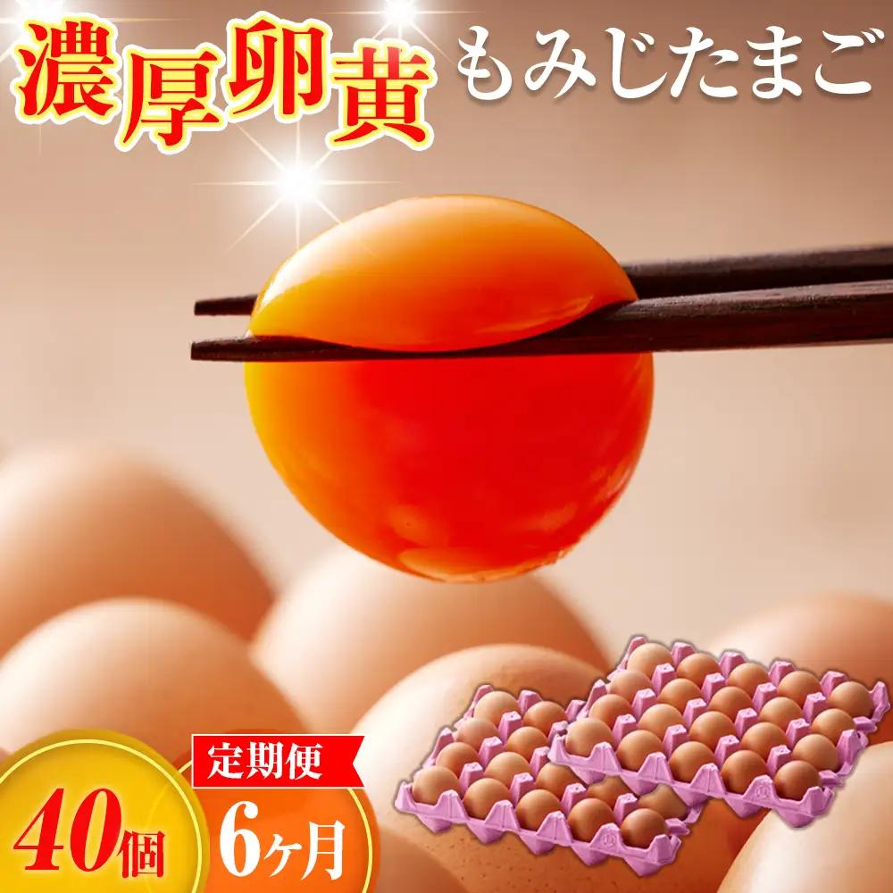 濃厚卵黄もみじたまご【40個入り】【6ヶ月連続】定期便 [No.936]