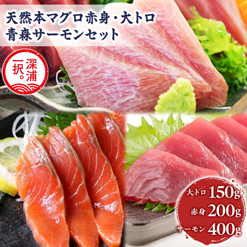 【ふるさと納税】青森サーモン＆天然 本マグロ 赤身 大トロ セット 計750g 国産 青森 サーモン 本鮪 まぐろ マグロ クロマグロ 鮪 刺身 丼ぶり 海鮮 魚介 贅沢 お取り寄せ 詰め合わせ グルメ 産地直送 送料無料 冷凍 あおもり海山