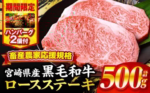 【2025年12月発送】【期間・数量限定】畜産農家応援！宮崎県産黒毛和牛ロースステーキ250g×2・国産牛ハンバーグ100g×2個_M132-091-B2-dec