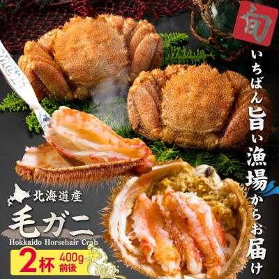 ふるさと納税 恵庭市 【北海道産】『冷凍』毛ガニ400g前後×2杯【急速冷凍】【52001801】