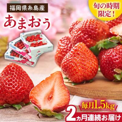 ふるさと納税 糸島市 【2回定期便】【2026年2月より発送】糸島産【春】あまおう6パック毎月計1.5kg[AIK027]