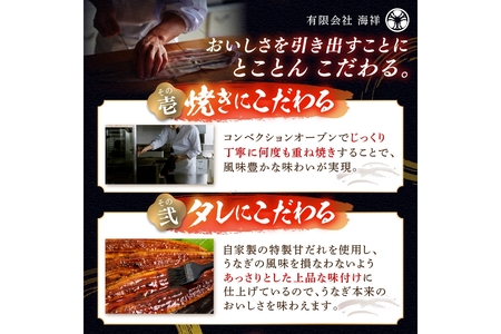 【定期便 隔月×3回】超特大！極上！国産うなぎ蒲焼 2尾 合計500g前後