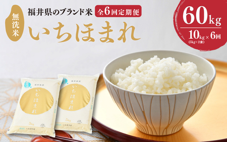 【令和6年産・新米】 定期便 ≪6ヶ月連続お届け≫ 福井県のブランド米 いちほまれ 無洗米 10kg × 6回 計60kg 【 無洗米 人気 品種 ブランド米 特A 】 [O-6103]