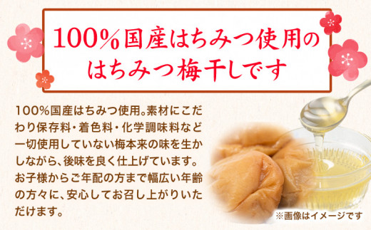 紀州南高梅使用はちみつうす塩味完熟梅干し無選別1kg厳選館《90日以内に出荷予定(土日祝除く)》紀州南高梅はちみつうす塩梅干し---wshg_genmhum_90d_22_13000_1kg---