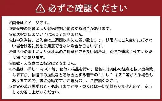 あたご梨 3～6玉 合計約3kg 化粧箱 愛宕梨 なし 梨 ナシ 果物 フルーツ 果実 岡山県 倉敷市【2026年11月下旬～12月下旬迄順次発送予定】