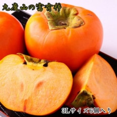 ≪柿の名産地≫九度山町の富有柿3Lサイズ6個入り(日高川町)