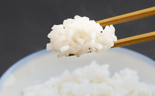 令和6年産　たこまいらいふ萩原農場の多古米コシヒカリ(精米)5kg【配送不可地域：離島・沖縄県】【1438045】