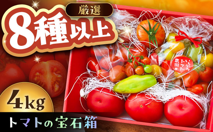 トマトの宝石箱 4kg / トマト とまと 大玉トマト ミニトマト 詰め合わせ / 恵那市 / クリエイティブファーマーズ [AUAH015]