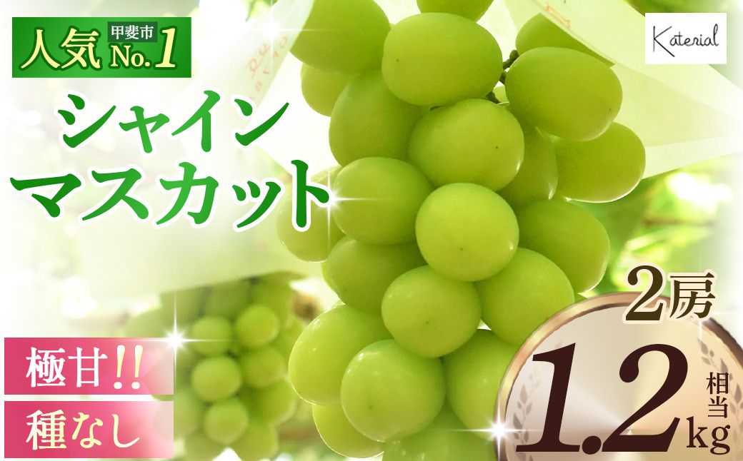 
【2025年発送】 シャインマスカット 2房 1.2㎏相当 先行予約 先行 予約 山梨県産 産地直送 フルーツ 果物 くだもの ぶどう ブドウ 葡萄 シャイン シャインマスカット 新鮮 人気 おすすめ 国産 贈答 ギフト お取り寄せ 山梨 甲斐市 AD-239
