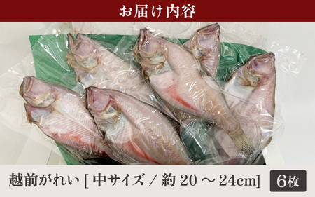 冷蔵配送！添加物不使用 越前産 赤かれい 干物 6枚 中サイズ 産地直送！こだわり一夜干し 調理しやすい【干物 ひもの 冷蔵ひもの 赤ガレイひもの かれい干物 カレイ干物  添加物不使用ひもの 調理し