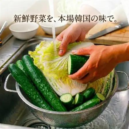本場韓国の味!2種のキムチ詰め合わせ(白菜・きゅうり)各1パック　国産野菜使用!無添加【配送不可地域：離島】【1732231】
