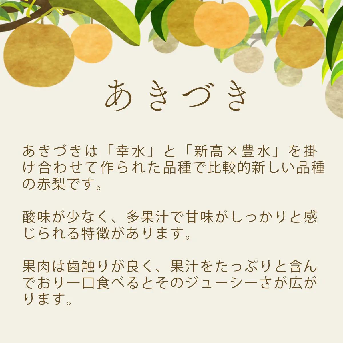 梨 あきづき 約3kg 梨 あきづき