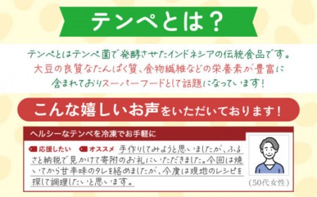 【3回定期便】長崎てんぺ 8個セット / 大豆 健康食品 小分け パック 美容 健康 ヘルシー ヴィーガン 低カロリー 【大屋食品工業】[OAB007]