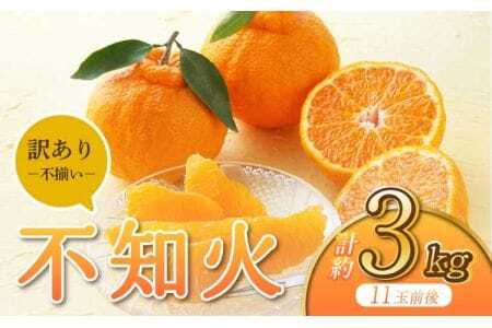 先行予約 訳あり品 不知火 約3kg うちやま果樹園 【2026年3月上旬から6月下旬発送予定】デコポン®同品種 デコポン®・不知火発祥の地熊本県宇城市