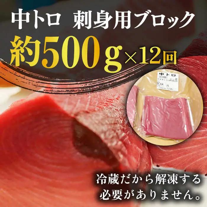 【全12回定期便】五島列島産養殖生本かみまぐろ 中トロ 500g[RBP066] 本マグロ 本まぐろ 定期便 本マグロ 本まぐろ 定期便 本マグロ 本まぐろ 定期便九州 長崎