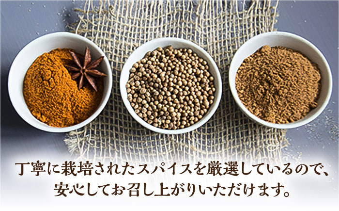【6回定期便】薬膳スパイスチキンカレー 4食（200g×4） /自然庵 [UCQ005] カレー レトルトカレー 鶏肉 鶏 チキン