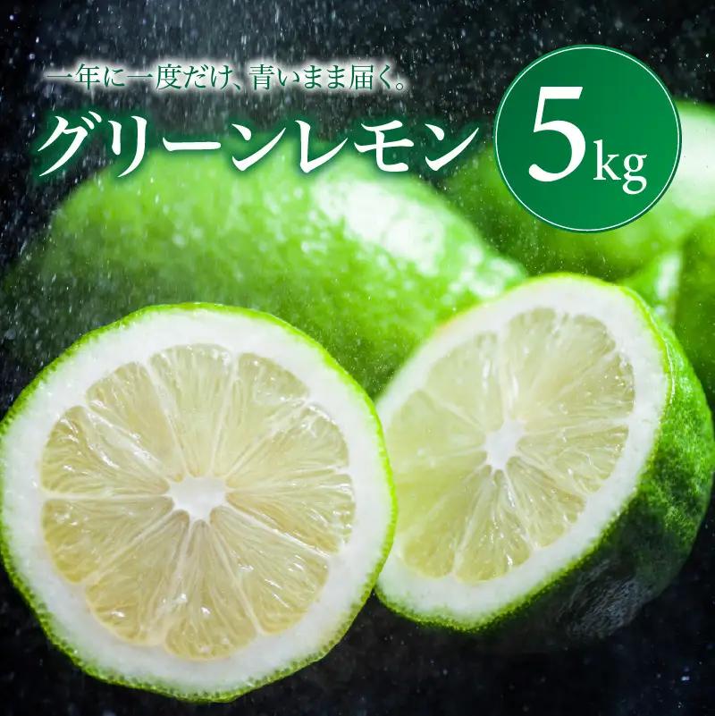 グリーン レモン 家庭用 5kg 【2026年9月下旬頃から順次発送】 | れもん レモン lemon 檸檬 訳あり フルーツ 柑橘 果物 おすすめ お勧め お取り寄せ ギフト 愛媛県 松山市 【MKN015】
