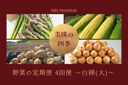 【令和9年産予約受付】野菜セット 4回 定期便  旬な野菜 新鮮 美瑛の四季 白樺（大）