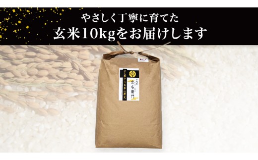 令和8年産・新米 ＜ 10月出荷 ＞ 玄米 10kg 三百年 続く農家 の 有機特別栽培米 コシヒカリ 有機栽培 農創 米 こめ コメ ごはん ご飯 精米 白米 国産 茨城県産 おいしい 新生活 プレ