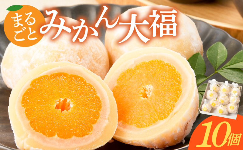 みかん大福　10個入り【贈答・熨斗対応】10個 職人仕立て 和菓子 フルーツ大福 白餡 お餅 冷凍 フルーツ デザート みかん 餡子 手作り おやつ スイーツ 冷蔵解凍 お取り寄せ グルメ 愛知県 小牧市 送料無料 ［009B16］ 