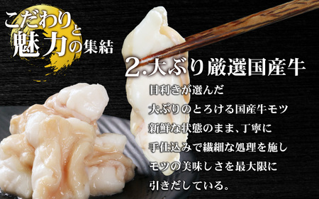 【小分け】 【秘伝のタレ付】 牛 もつ セット 10 人前｜小分け 6袋 計1.5kg 国産 味噌 もつ鍋 焼肉 時短 簡単 小腸 国産牛 パーティー 冬 ホルモン おつまみ 真空 冷凍 大ぶり 簡単
