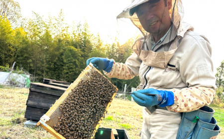 升田養蜂場の国産純粋はちみつ やまなみ蜂蜜2本セット 220g2本入 蜂蜜 ハチミツ お取り寄せ グルメ 三次市/升田養蜂場[APAE001]