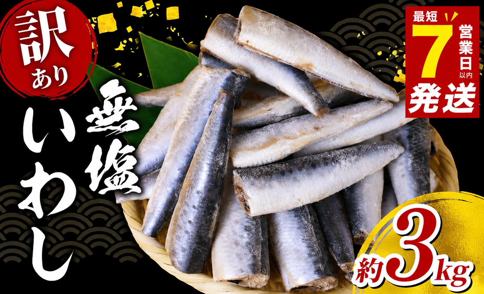 
                  いわし 無塩 ドレス 【 訳あり 】 約 3kg 国産 千葉県産 イワシ 冷凍 鰯 頭なし 内臓除去 処理済み 簡単調理 手軽 和風 料理 和食 おすすめ おかず 惣菜 弁当 夕食 食卓 人気 魚 海鮮 水産 水産加工品 訳アリ 訳有り わけあり 千葉県 旭市 株式会社ヤマゴ ymg003
                