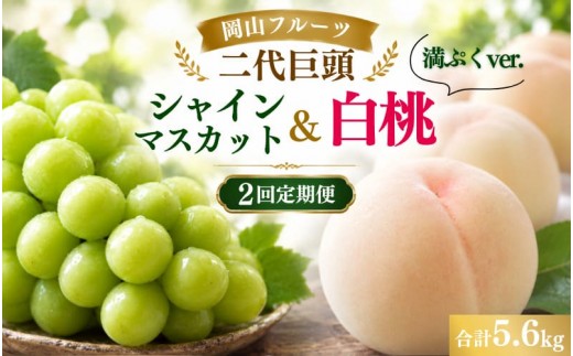 【2027年先行予約】岡山フルーツ二代巨頭 シャインマスカット＆桃 満ぷく2回定期便 合計3.5kg(白桃3.6kg/シャインマスカット2kg) 秀品 詰合せ もも 白桃 ぶどう シャインマスカット 葡萄 果物 定期便 フルーツ 食べ比べ セット ギフト 岡山県【hnds-tkb002】