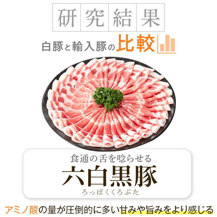 【B02096】 特選黒豚(約1.6kg)・黒豚焼豚2個・黒豚餃子(12個入×1P)セット！黒豚バラ・肩ロース(しゃぶしゃぶ用)、黒豚ロース(トンカツ用)のセット_イメージ4