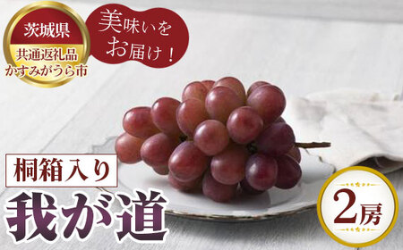 【先行予約】我が道　桐箱入り2房【茨城県共通返礼品 かすみがうら市】 No.317