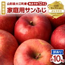 【ふるさと納税】《先行予約》特別栽培 訳あり 家庭用サンふじ約10kg 【2024年12月中旬頃～発送予定】山形りんご 大江町産 鈴木果樹園 りんご リンゴ 林檎 果物 フルーツ 産地直送