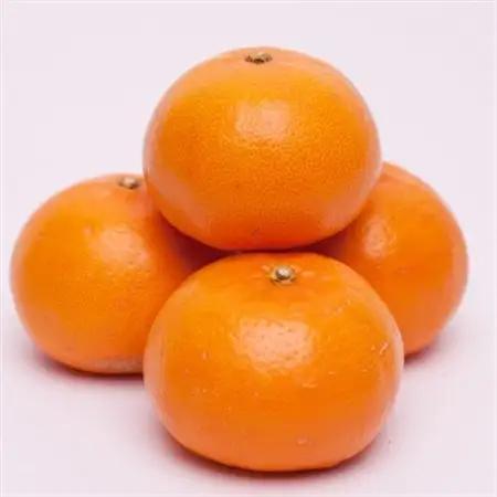 厳選 せとか1kg+250g(傷み補償分)【柑橘・春みかんの王様】【光センサー選果・食べ頃出荷】【配送不可地域：離島・北海道・沖縄県】【1649454】