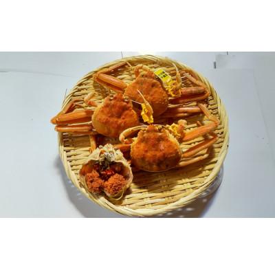 ふるさと納税 美浜町 ＜冷蔵でお届け＞食べ切数量!全て地物!冬の味覚　旬のセイコガニ(3匹計330g)食べ方カラー説明書付