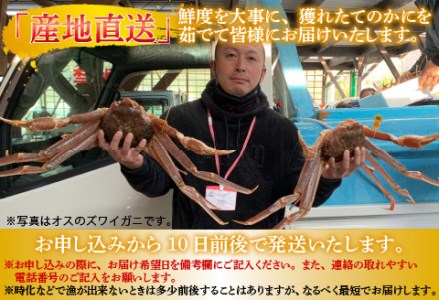 【先行予約！9月30日までの特別価格！！】【産地直送】福井冬の味覚！越前がに（ずわいがに活 800～900g 1杯） ＆ せいこ甲羅盛り5個