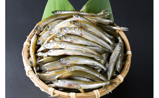 【冷凍】十和田湖わかさぎ 約1kg（約500g×2パック） [わかさぎ 公魚 魚 鮮魚 フライ 天ぷら 美味 十和田湖 国産 冷凍 食卓 ご飯のお供 秋田 小坂町]