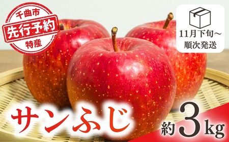 【2025年先行予約】りんご サンふじ 約3kg｜ りんご りんご りんご りんご りんご