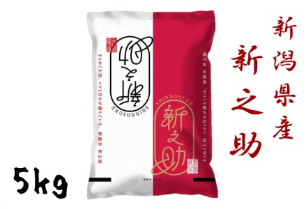 【新米】新潟県産「新之助」5kg 関口商店 【大人気のため予告なしに受付休止・再開します】 1N01012