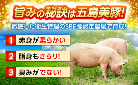 五島美豚プレミアムハンバーグ5個 五島市 / 長崎フードサービス [PEL037] ハンバーグ 豚肉ハンバーグ SPFポークハンバーグ 手ごねハンバーグ ハンバーグ 豚肉ハンバーグ SPFポークハンバ