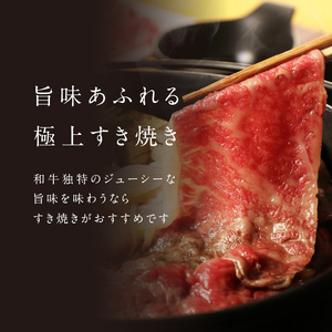 【6回定期便】佐賀牛赤身スライス 600g ／ 牛肉 定期便【Z121_06】