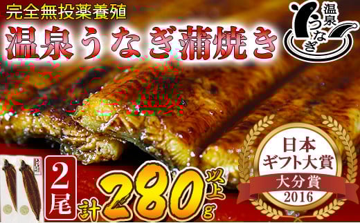 
            【配送日指定可能】温泉うなぎ蒲焼 2尾（140gサイズ） 国産うなぎ 人気 チョイス限定 国産 蒲焼 蒲焼き かば焼き 鰻屋 個包装 冷凍 真空 ギフト 敬老の日 ＜104-007_5＞
          