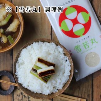 【令和7年産・精米】グリーンファーム小野寺の特別栽培米山形味比べセット　※10月中旬頃から順次配送予定(GF小野寺) 【精米】味比べセット(つや姫・雪若丸・はえぬき)