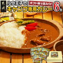 【ふるさと納税】ルウ王子のキャンプ専用カレー6食セット - キャンプ専用カレー 200g×6 国産牛使用 本格カレー キャンプのお供 アウトドアに 送料無料 AA-2708【宮崎県都城市は2年連続ふるさと納税日本一！】