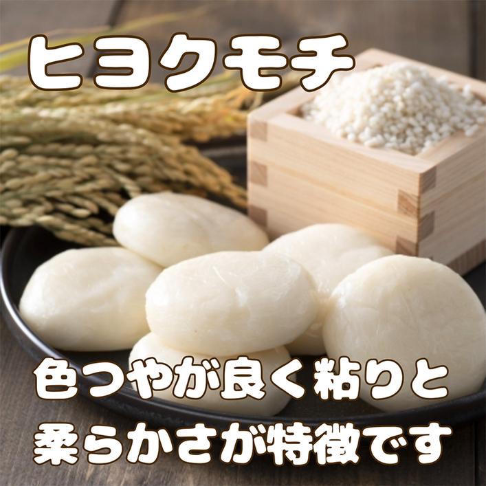 CIC58_佐賀県産もち米『ヒヨクモチ』２０kg（５kg×４袋）