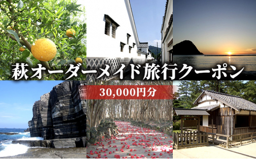 
[№5226-0460]旅行券 山口 萩オーダーメイド 30,000円分 クーポン 旅行 チケット 観光 宿泊 宿泊券 ホテル 旅館
