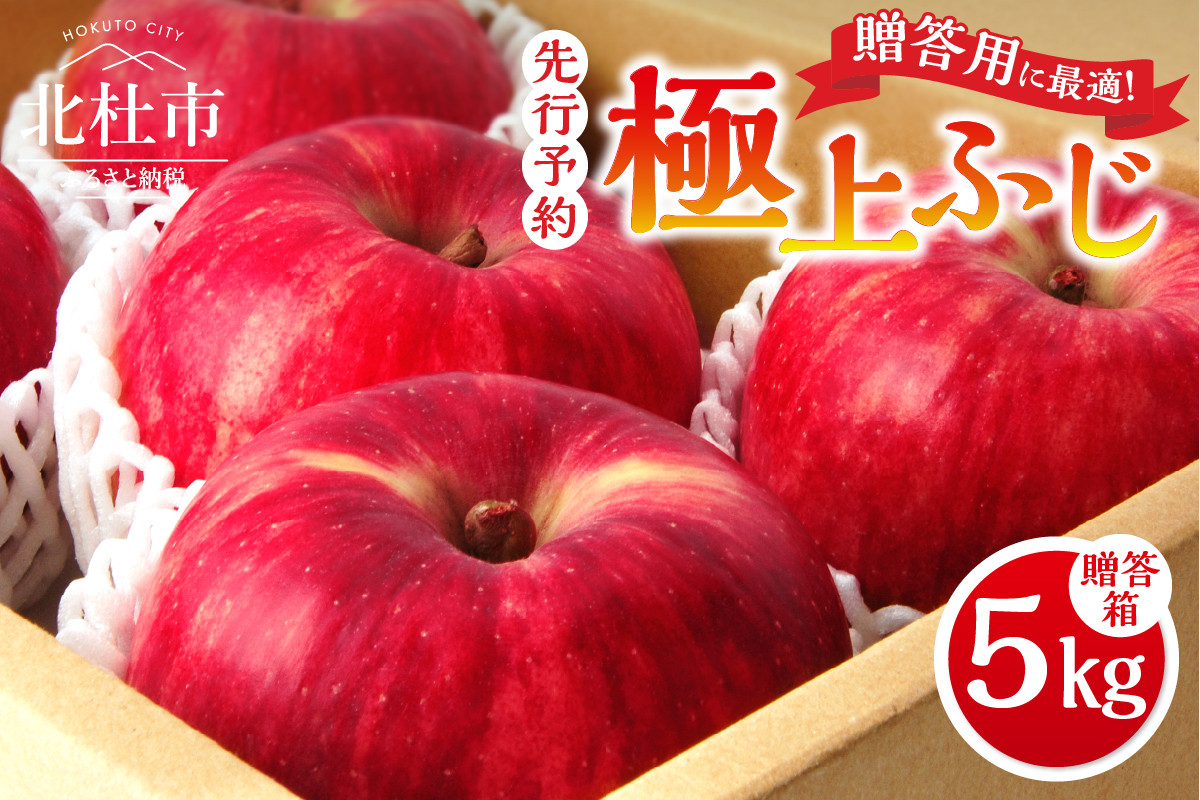 
            【2025年先行予約】八ヶ岳南麓自然の恵み　極上ふじ5kg りんご 山梨県産 ふじ 極上ふじ 5kg 田丸りんご園 フルーツ 果物 果実 贈答 ギフト プレゼント 山梨 八ヶ岳南麓 北杜市 明野
          