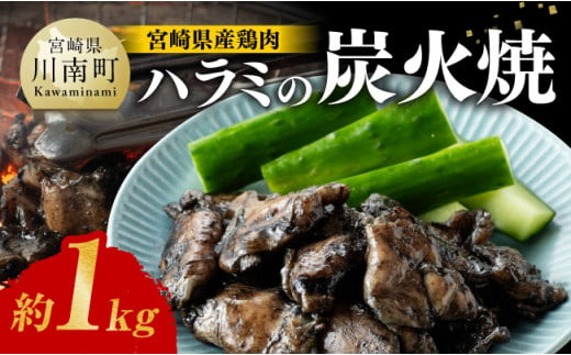 宮崎県産 鶏肉 ハラミ の 炭火焼 1kg 【 肉 鶏 鶏肉 はらみ 炭火焼 ジューシー 宮崎名物 】[E7211]