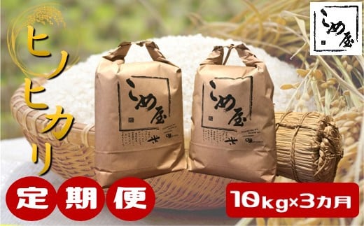 
【定期便3回】熊本県産「ヒノヒカリ」10kg×3カ月
