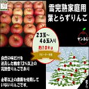 【ふるさと納税】りんご 【 数量限定 】1～2月発送 訳あり 糖度13度以上 家庭用 雪完熟 葉とらずサンふじ 約 10kg 23～46個【 弘前市産 青森りんご 果物類 林檎 リンゴ 】　お届け：2025年1月6日～2025年2月28日