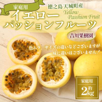 ふるさと納税 天城町 【2026年発送】徳之島 天城町 吉川果樹園 家庭用 イエロー パッション フルーツ 約2kg